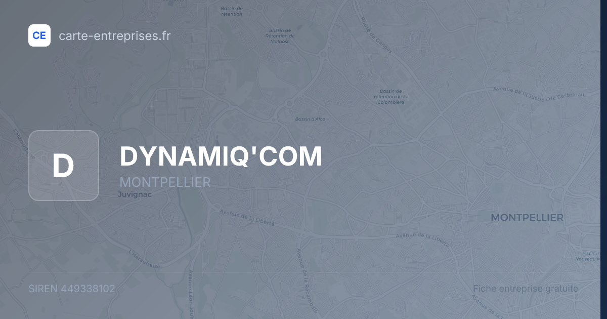 DYNAMIQ'COM — 449338102 — fiche entreprise