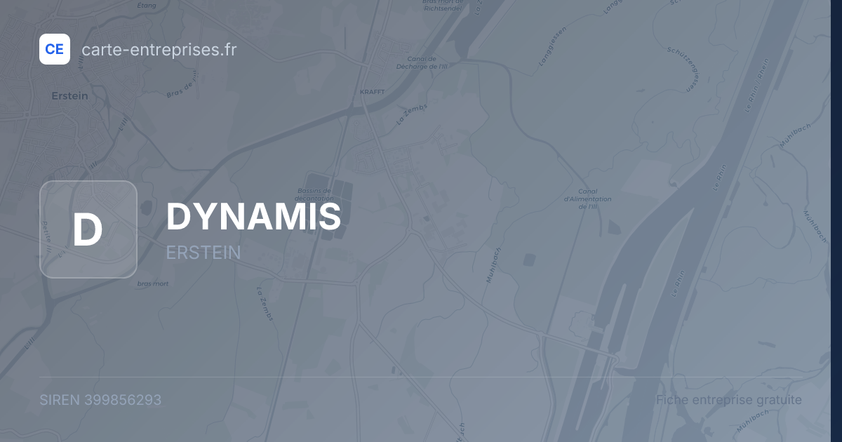 DYNAMIS — 399856293 — fiche entreprise