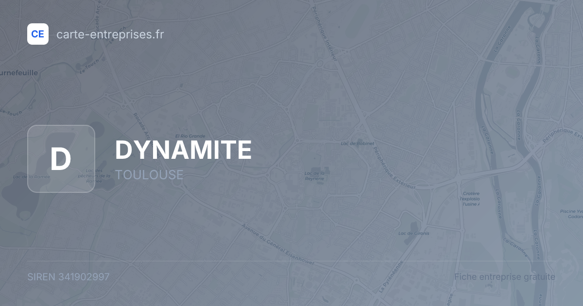 DYNAMITE — 341902997 — fiche entreprise