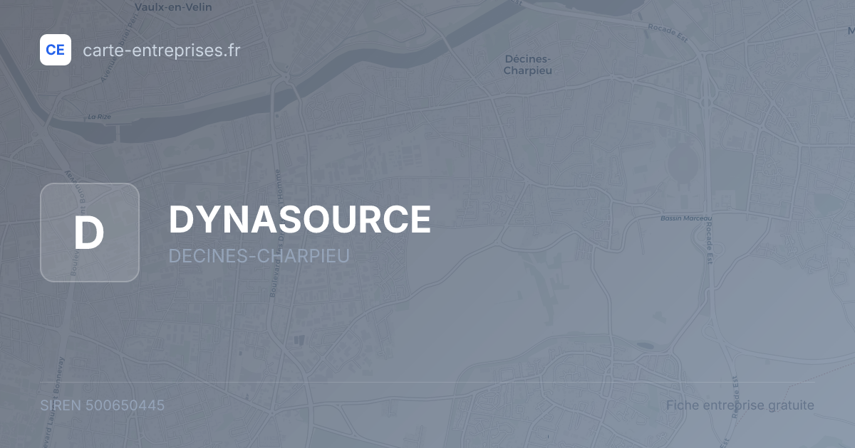 DYNASOURCE — 500650445 — fiche entreprise