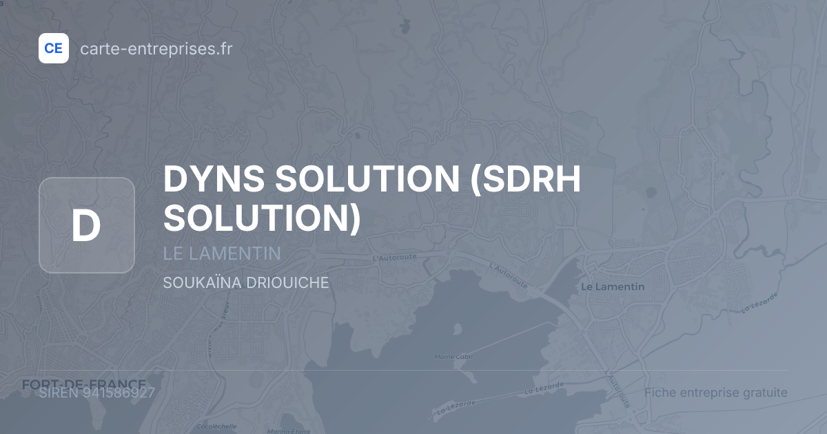 DYNS SOLUTION (SDRH SOLUTION) — 941586927 — fiche entreprise