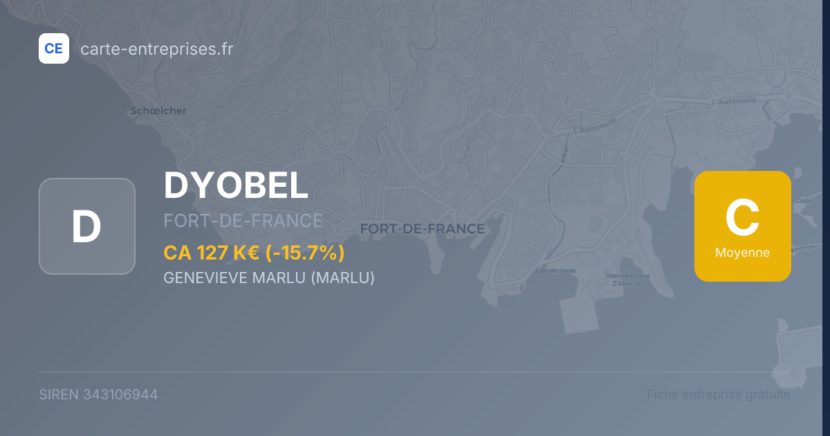 DYOBEL — 343106944 — fiche entreprise