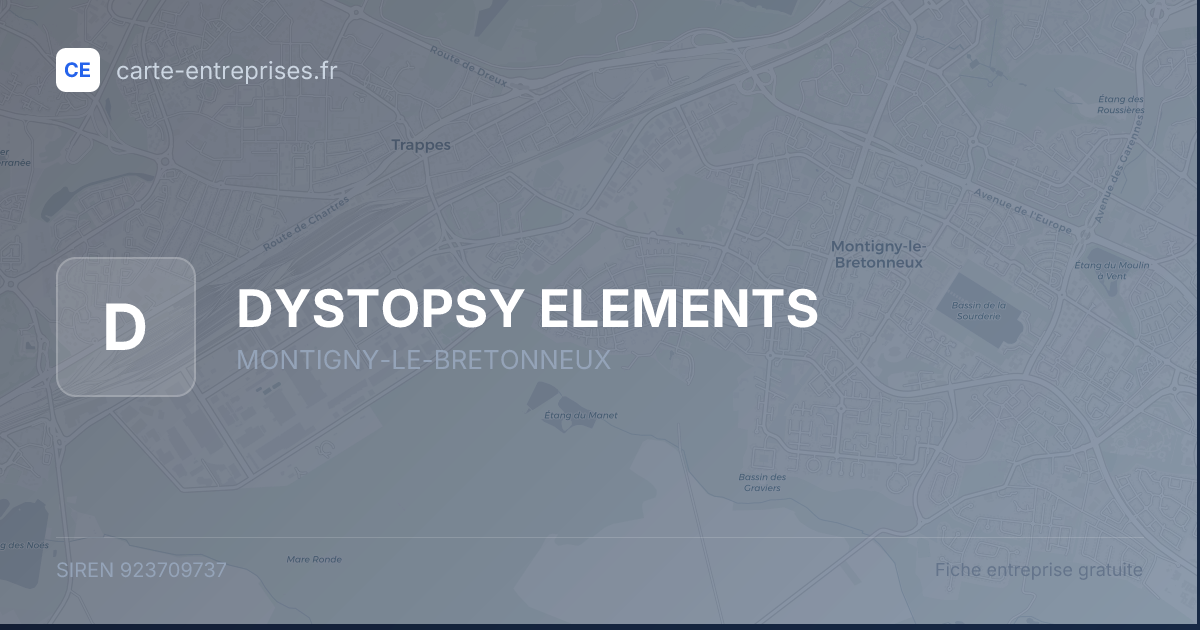 DYSTOPSY ELEMENTS — 923709737 — fiche entreprise