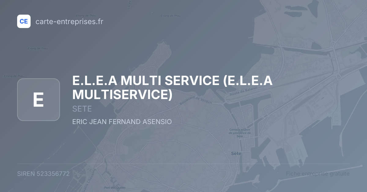 E.L.E.A MULTI SERVICE (E.L.E.A MULTISERVICE) — 523356772 — fiche entreprise