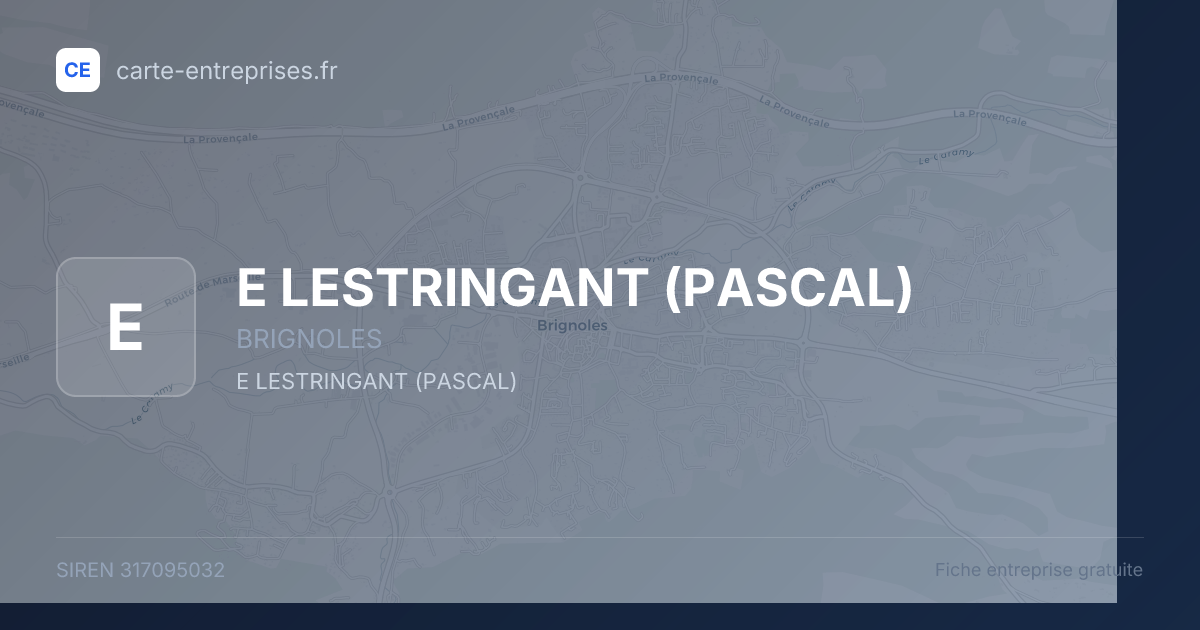 E LESTRINGANT (PASCAL) — 317095032 — fiche entreprise