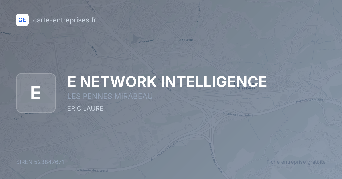 E NETWORK INTELLIGENCE — 523847671 — fiche entreprise