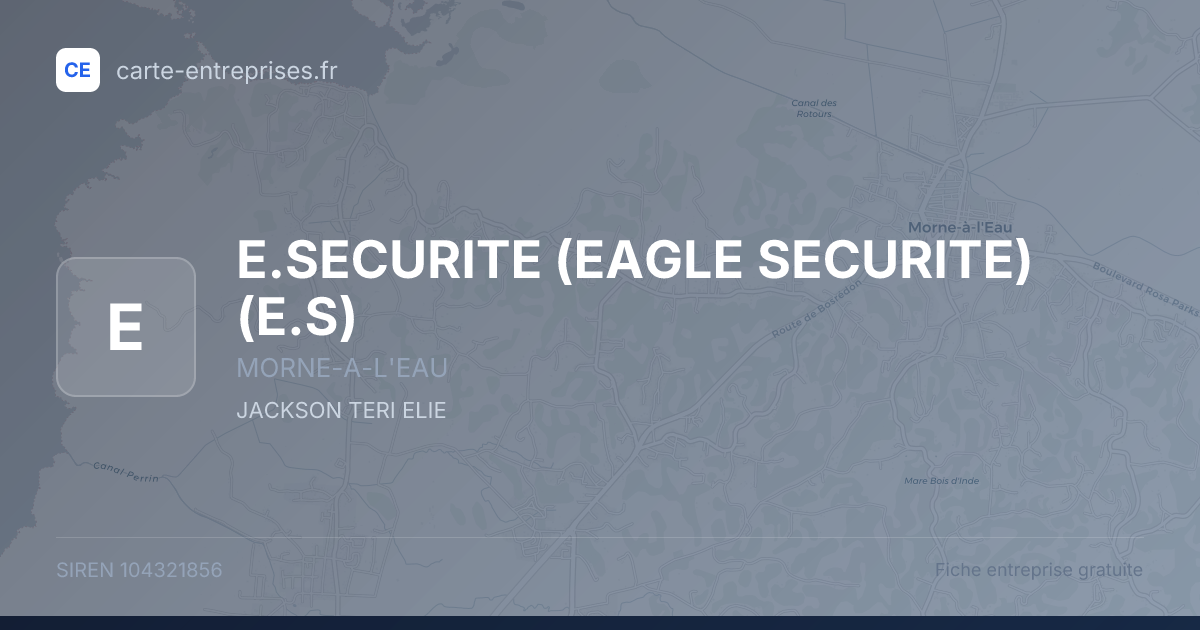 E.SECURITE (EAGLE SECURITE) (E.S) — 104321856 — fiche entreprise