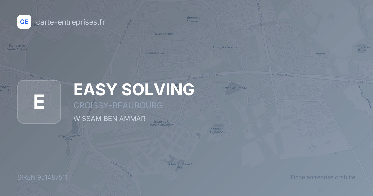 EASY SOLVING — 951487511 — fiche entreprise