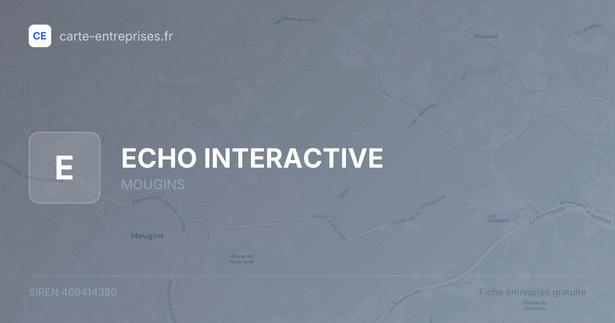 ECHO INTERACTIVE — 409414380 — fiche entreprise