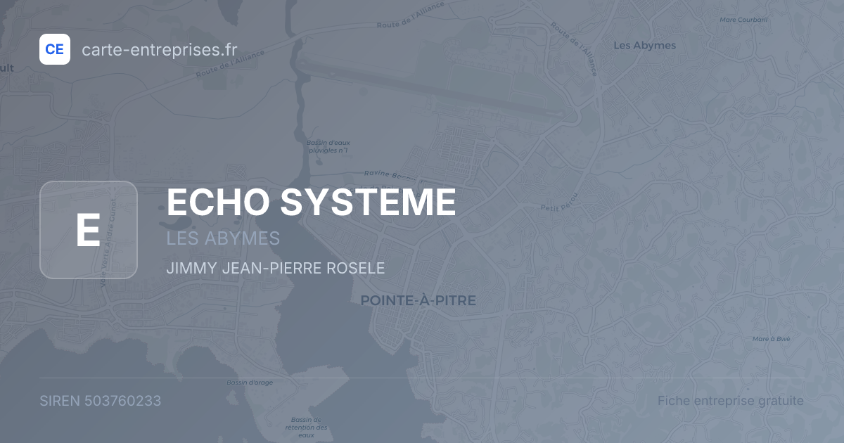 ECHO SYSTEME — 503760233 — fiche entreprise