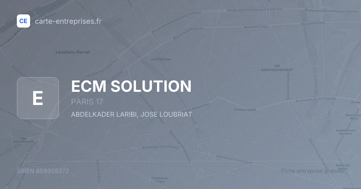 ECM SOLUTION — 809959372 — fiche entreprise