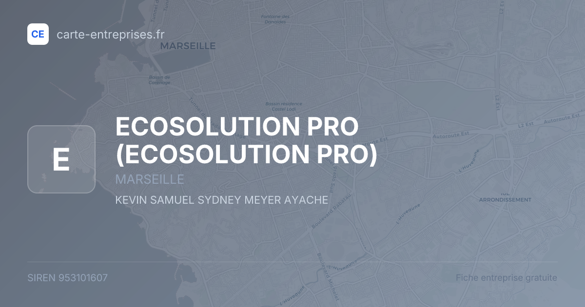 ECOSOLUTION PRO — 953101607 — fiche entreprise