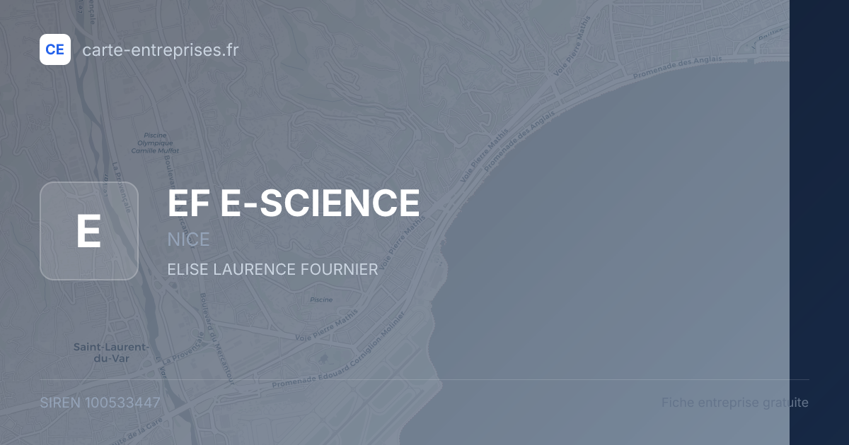 EF E-SCIENCE — 100533447 — fiche entreprise
