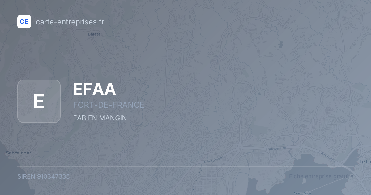 EFAA — 910347335 — fiche entreprise