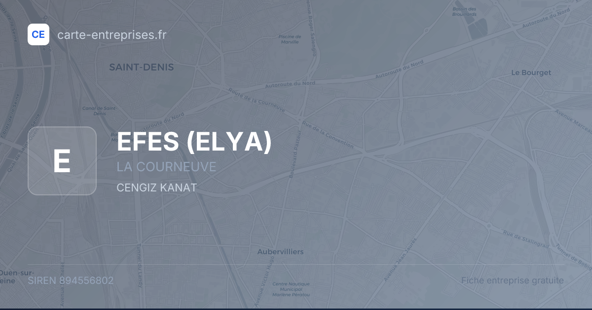 EFES (ELYA) — 894556802 — fiche entreprise