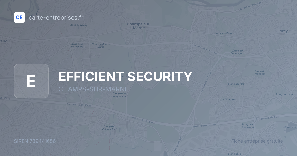 EFFICIENT SECURITY — 789441656 — fiche entreprise