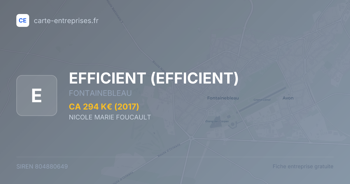 EFFICIENT — 804880649 — fiche entreprise