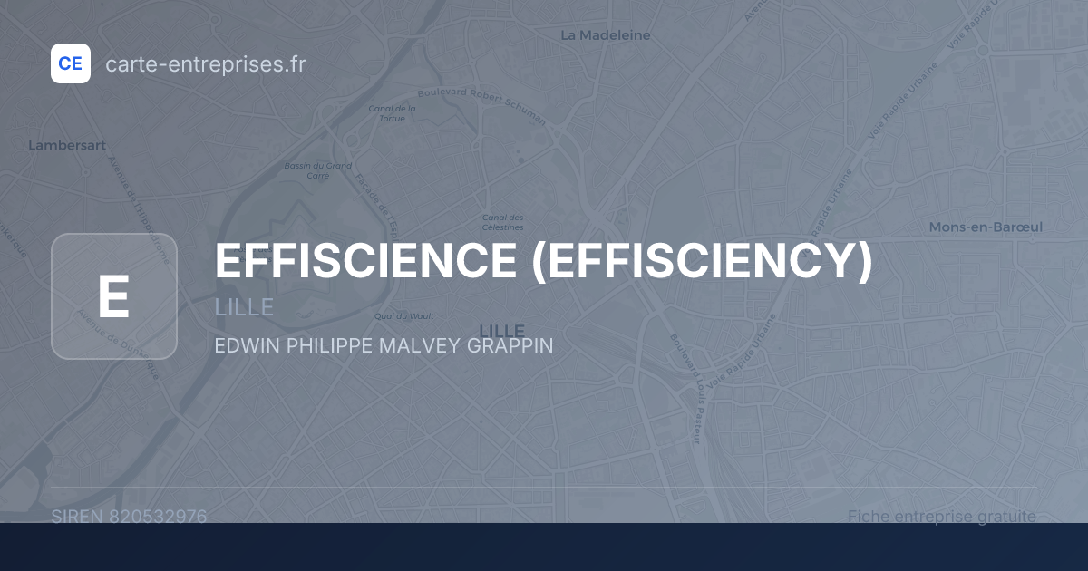 EFFISCIENCE (EFFISCIENCY) — 820532976 — fiche entreprise