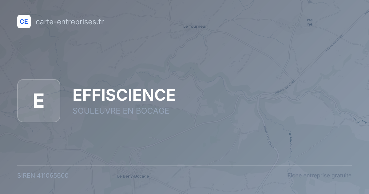 EFFISCIENCE — 411065600 — fiche entreprise