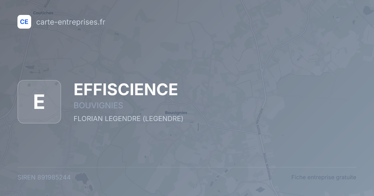 EFFISCIENCE — 891985244 — fiche entreprise
