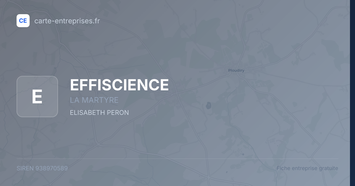 EFFISCIENCE — 938970589 — fiche entreprise