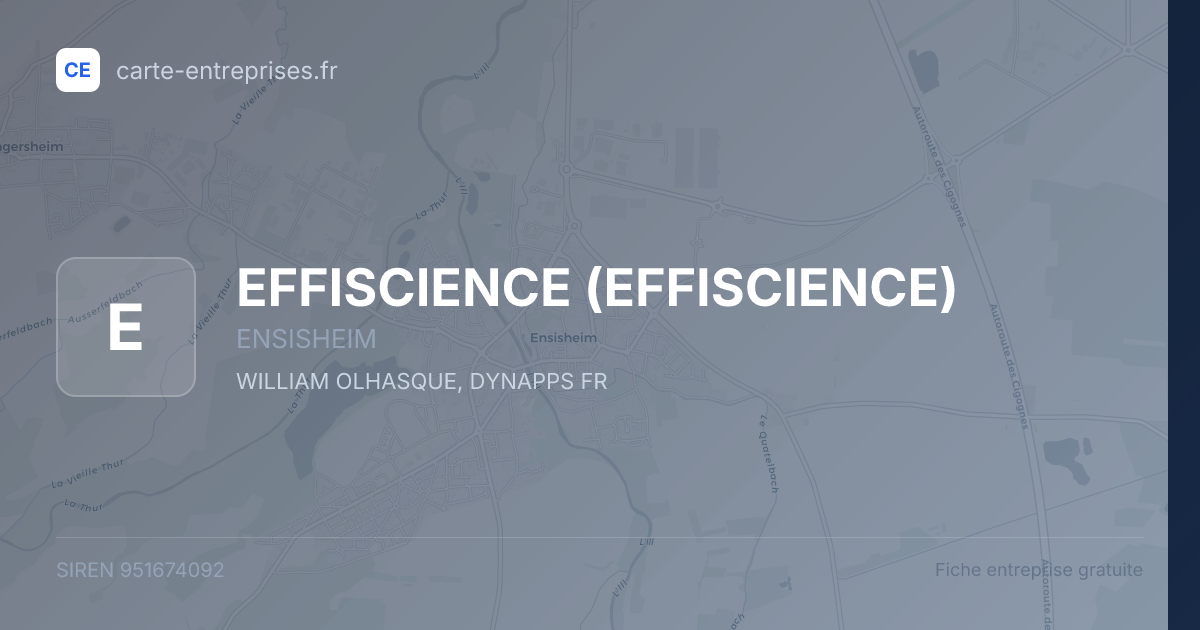 EFFISCIENCE — 951674092 — fiche entreprise