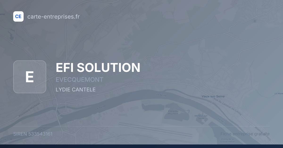 EFI SOLUTION — 533543161 — fiche entreprise