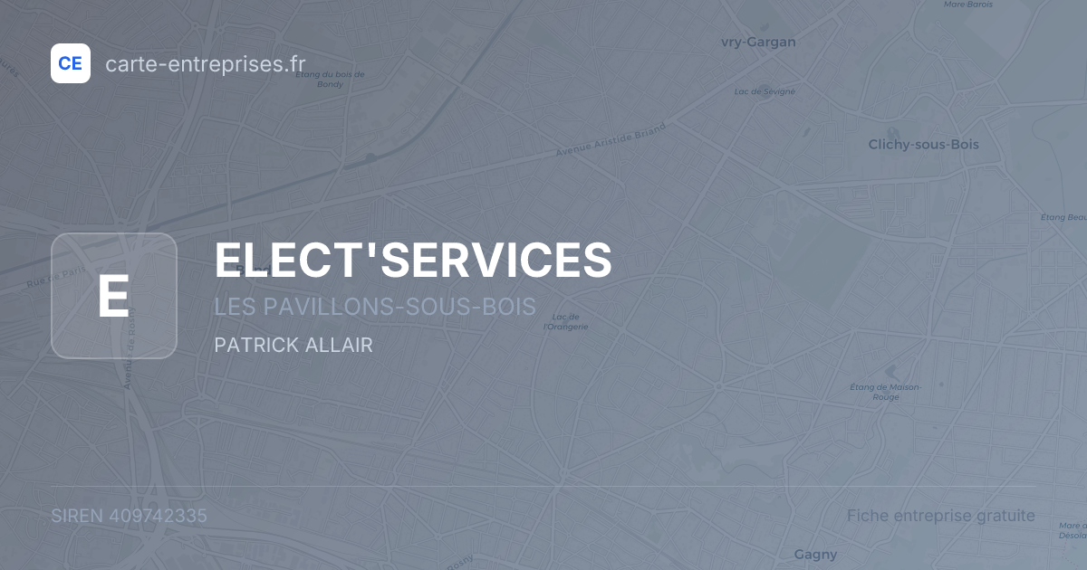 ELECT'SERVICES — 409742335 — fiche entreprise