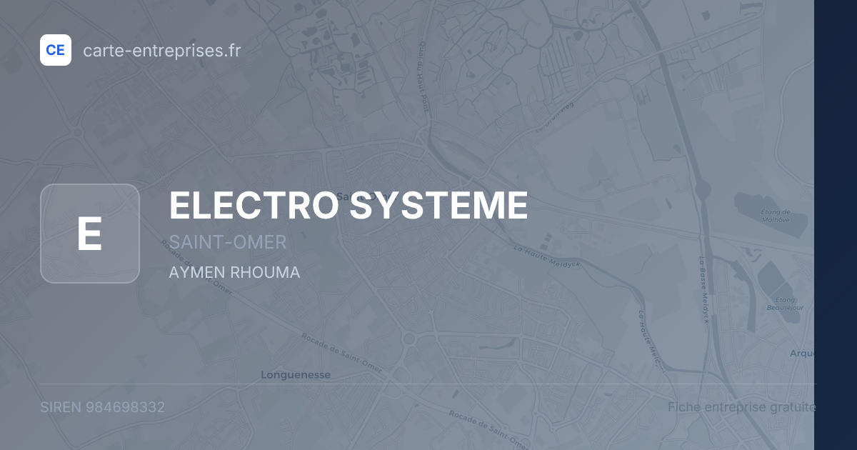 ELECTRO SYSTEME — 984698332 — fiche entreprise