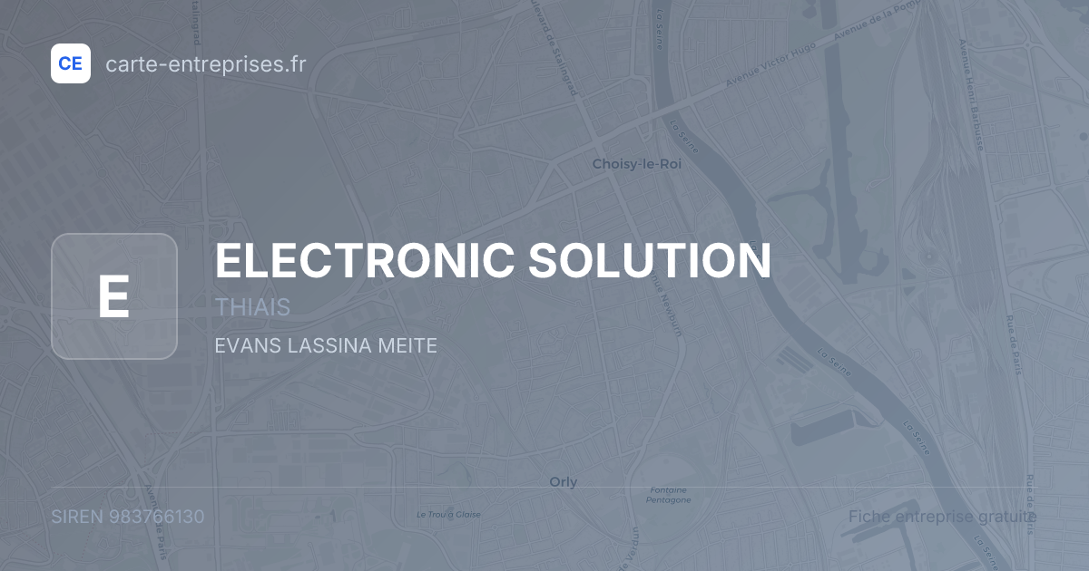 ELECTRONIC SOLUTION — 983766130 — fiche entreprise