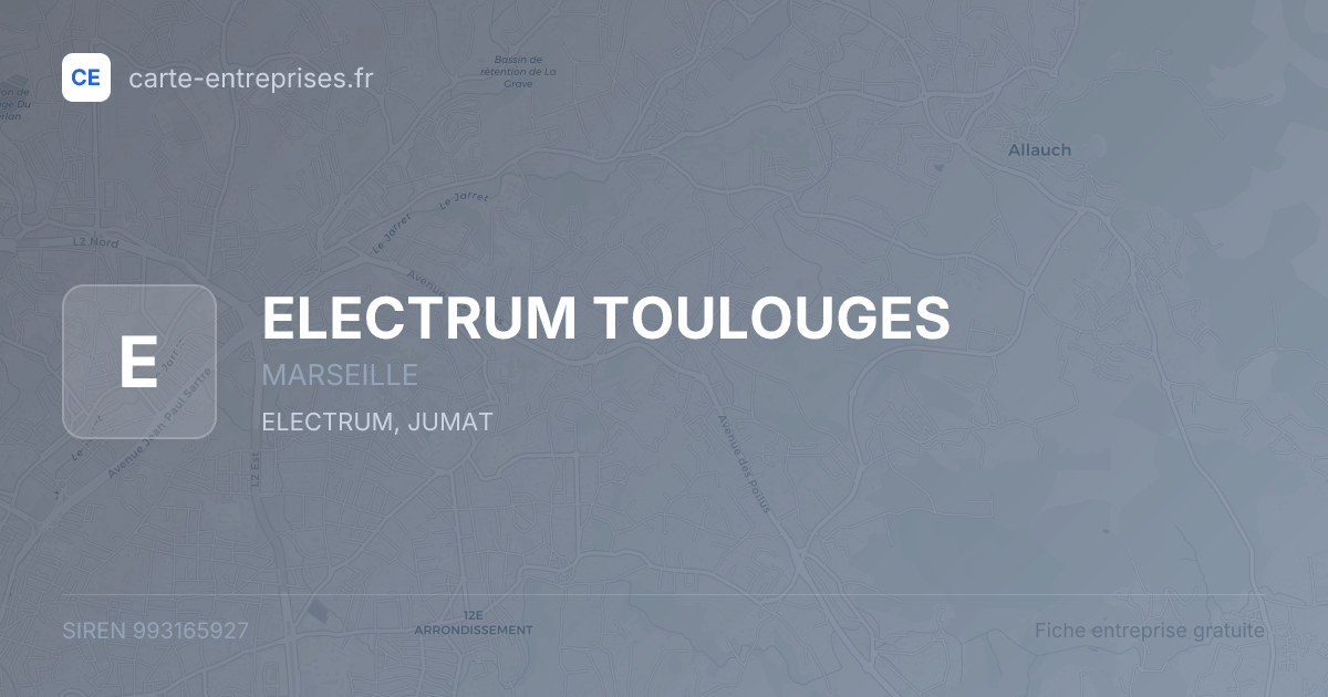 ELECTRUM TOULOUGES — 993165927 — fiche entreprise