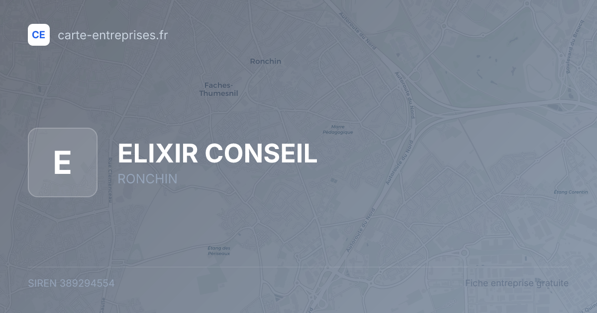 ELIXIR CONSEIL — 389294554 — fiche entreprise
