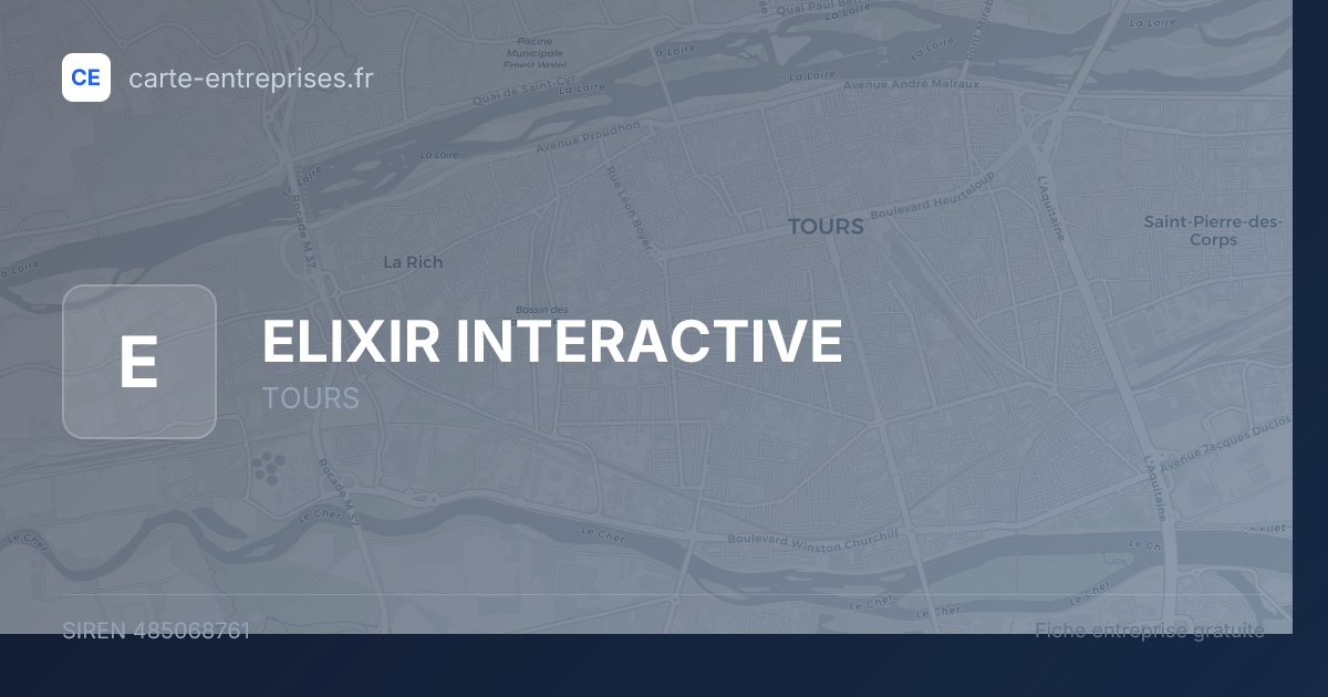 ELIXIR INTERACTIVE — 485068761 — fiche entreprise