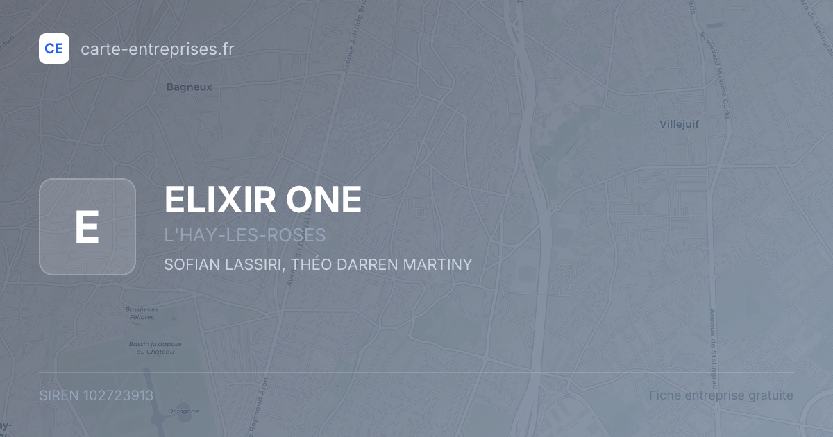 ELIXIR ONE — 102723913 — fiche entreprise