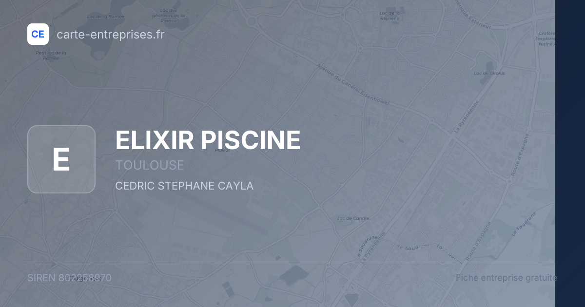 ELIXIR PISCINE — 802258970 — fiche entreprise