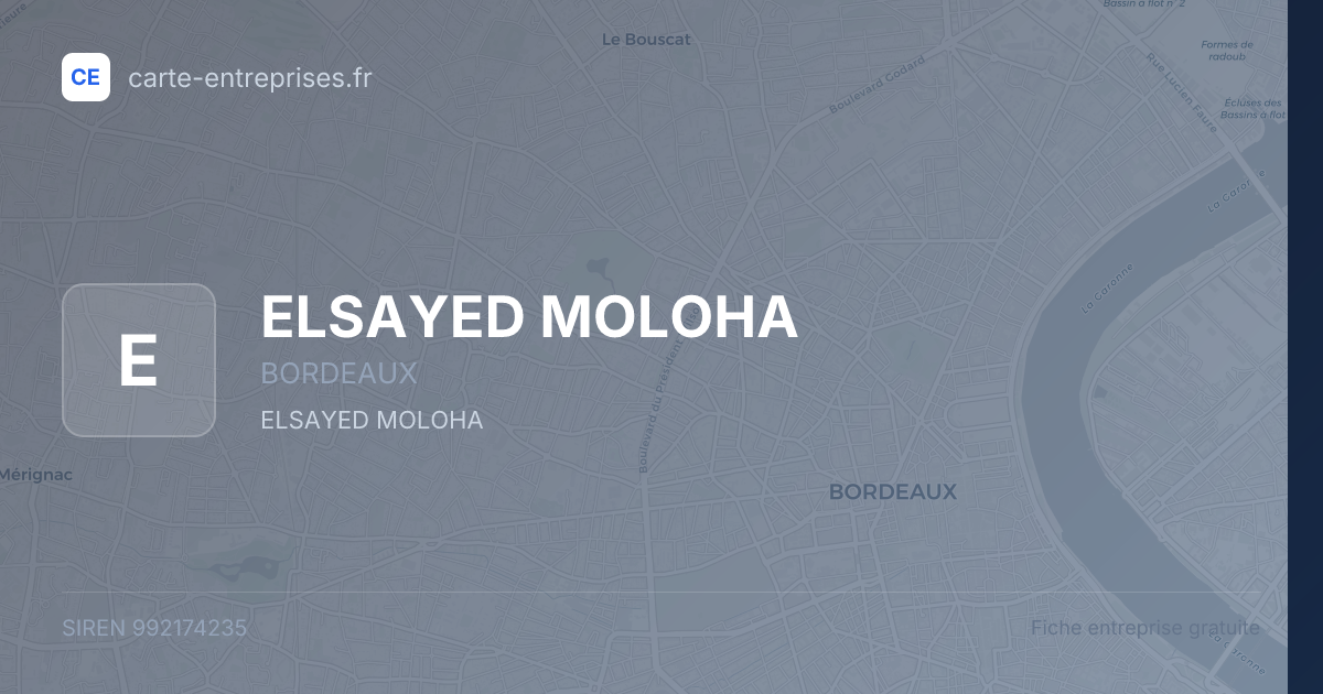ELSAYED MOLOHA — 992174235 — fiche entreprise