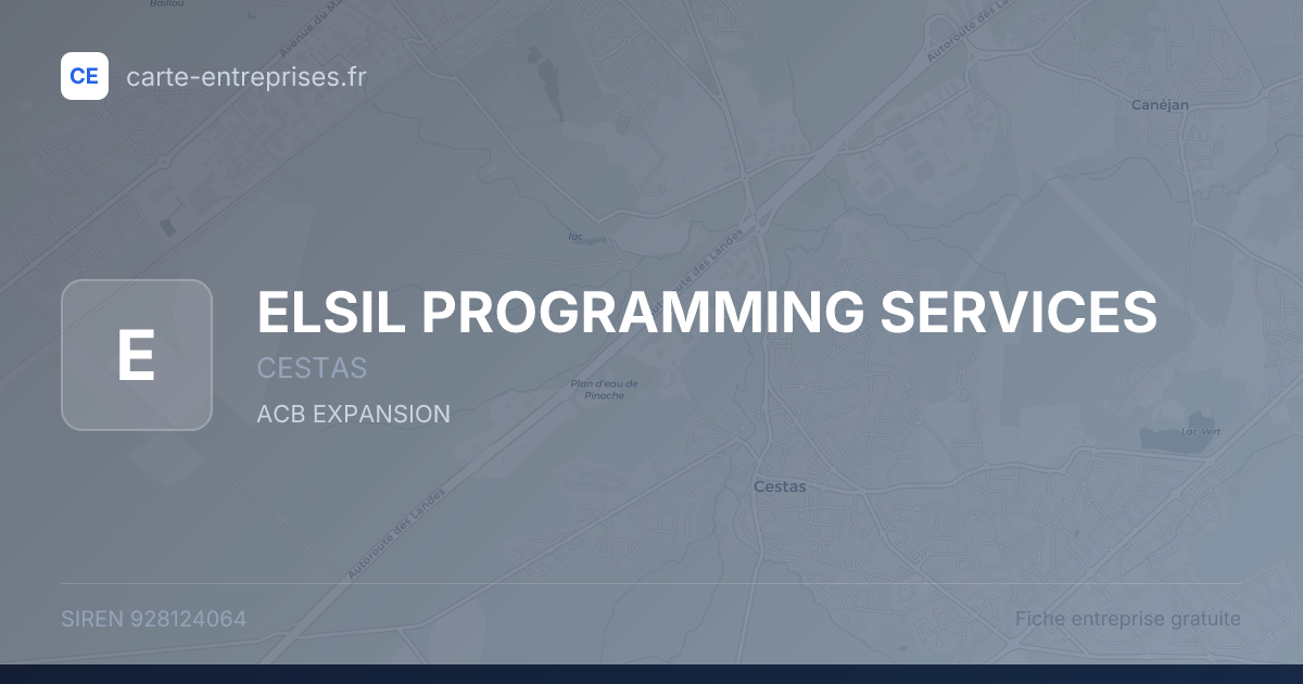 ELSIL PROGRAMMING SERVICES — 928124064 — fiche entreprise