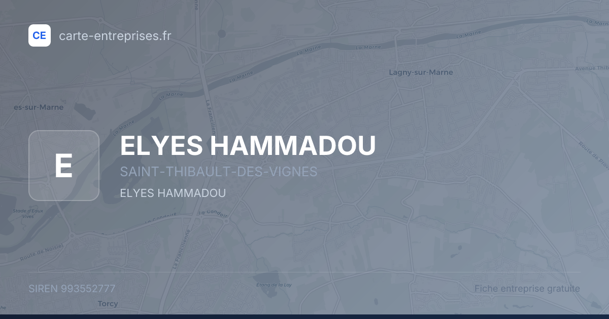 ELYES HAMMADOU — 993552777 — fiche entreprise
