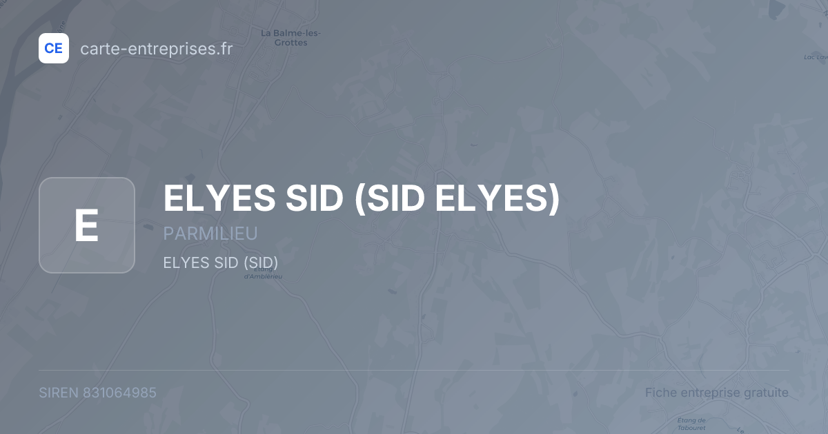 ELYES SID (SID ELYES) — 831064985 — fiche entreprise