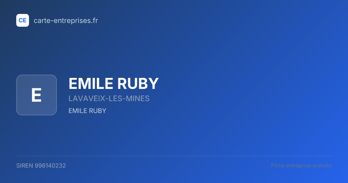 EMILE RUBY — 996140232 — fiche entreprise