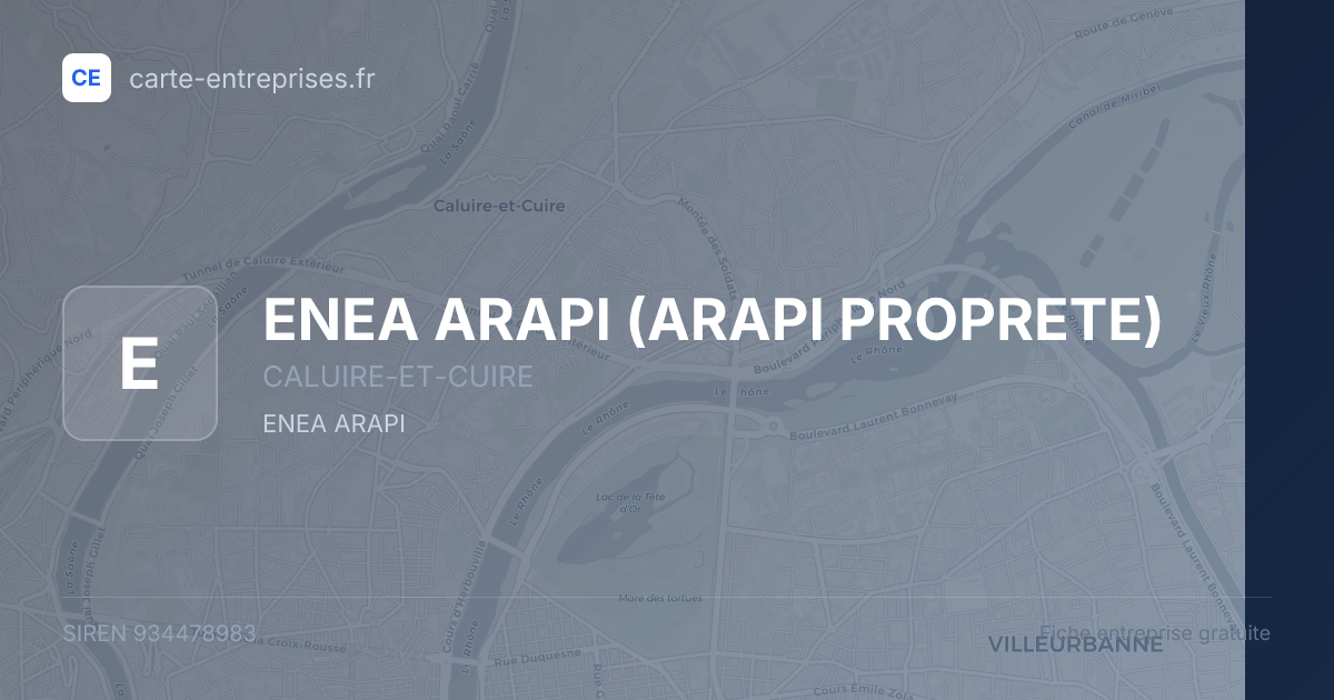 ENEA ARAPI (ARAPI PROPRETE) — 934478983 — fiche entreprise