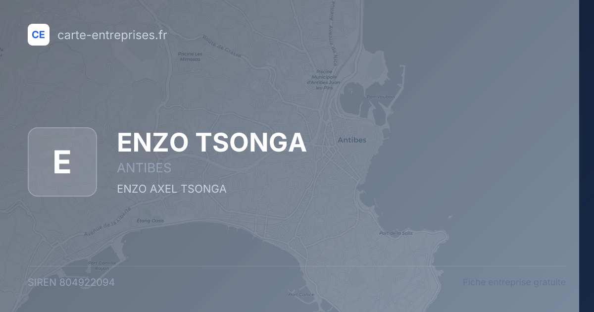 ENZO TSONGA — 804922094 — fiche entreprise