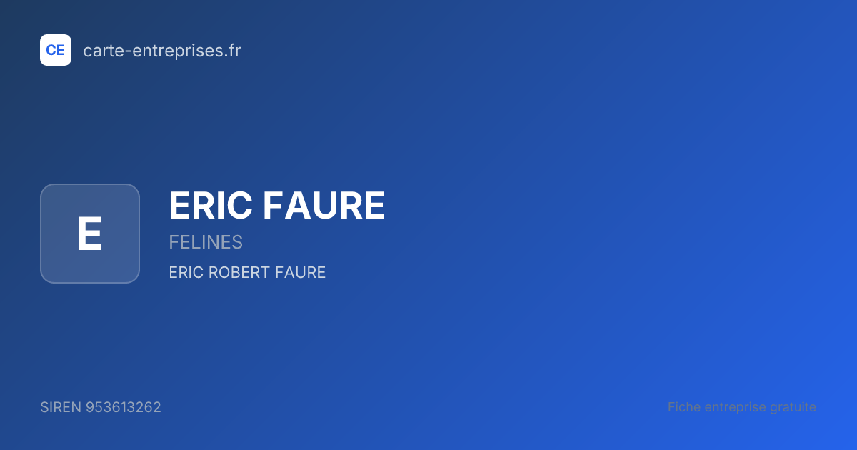 ERIC FAURE — 953613262 — fiche entreprise