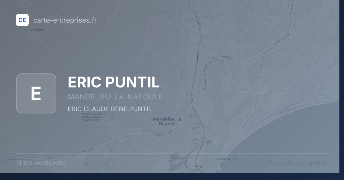 ERIC PUNTIL — 907950893 — fiche entreprise
