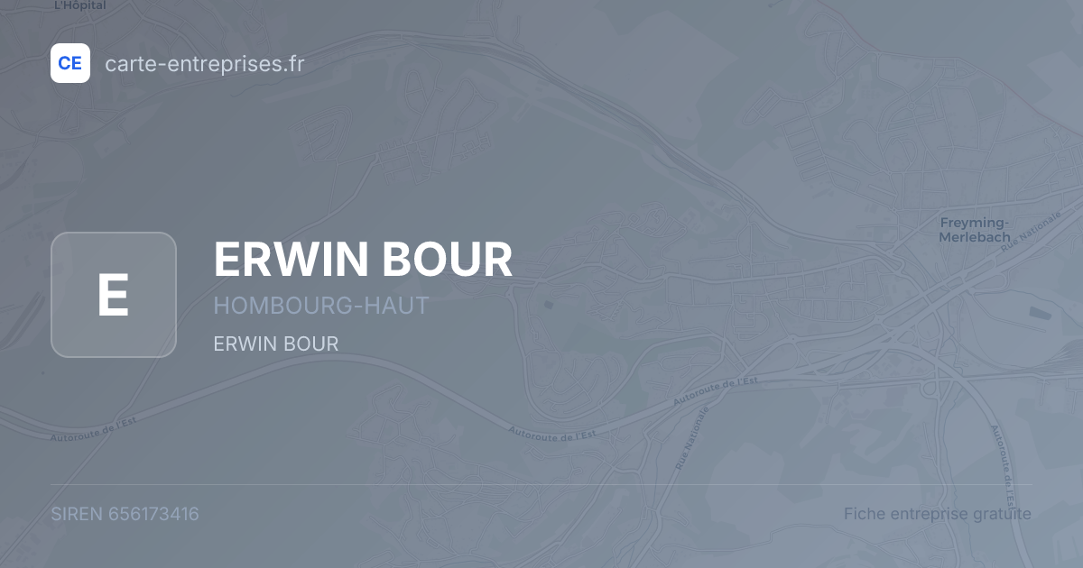 ERWIN BOUR — 656173416 — fiche entreprise