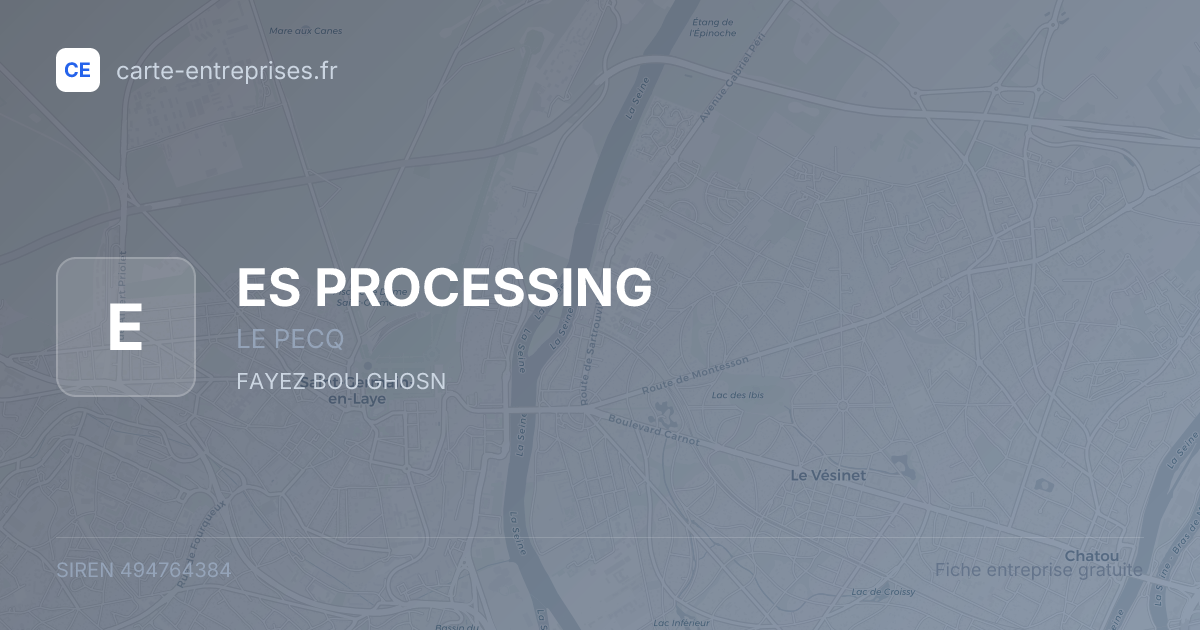 ES PROCESSING — 494764384 — fiche entreprise