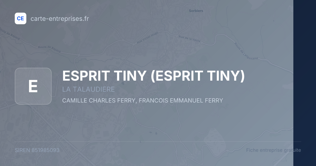 ESPRIT TINY — 851985093 — fiche entreprise