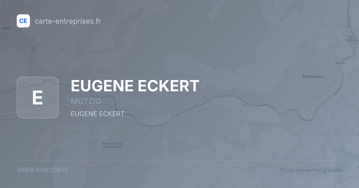 EUGENE ECKERT — 676070832 — fiche entreprise