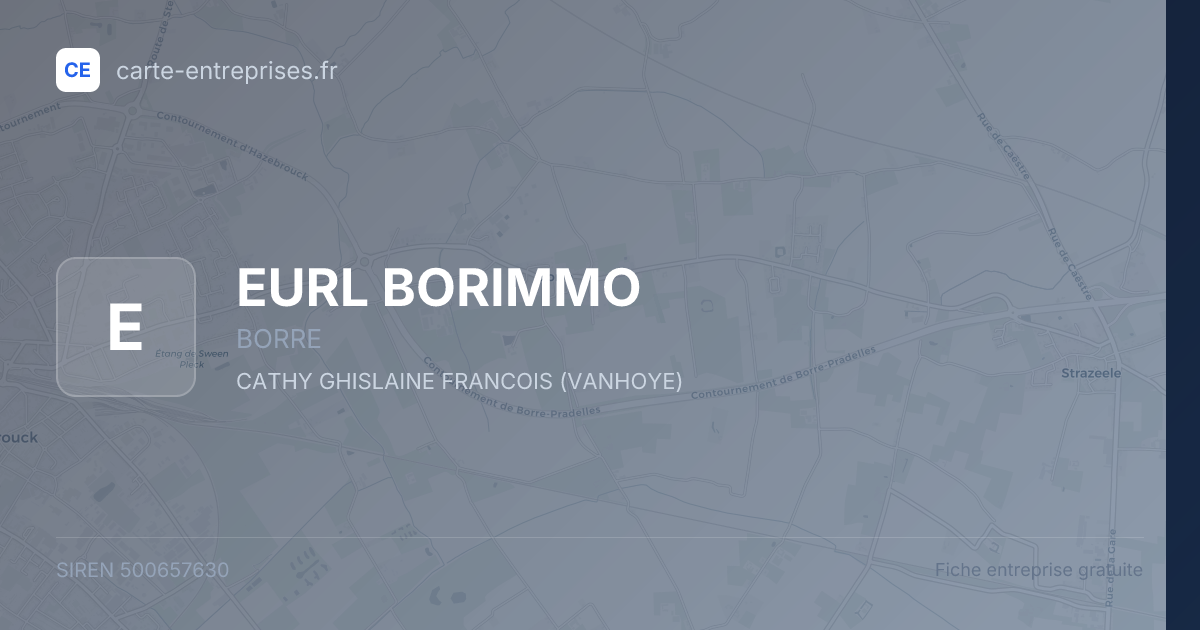 EURL BORIMMO — 500657630 — fiche entreprise
