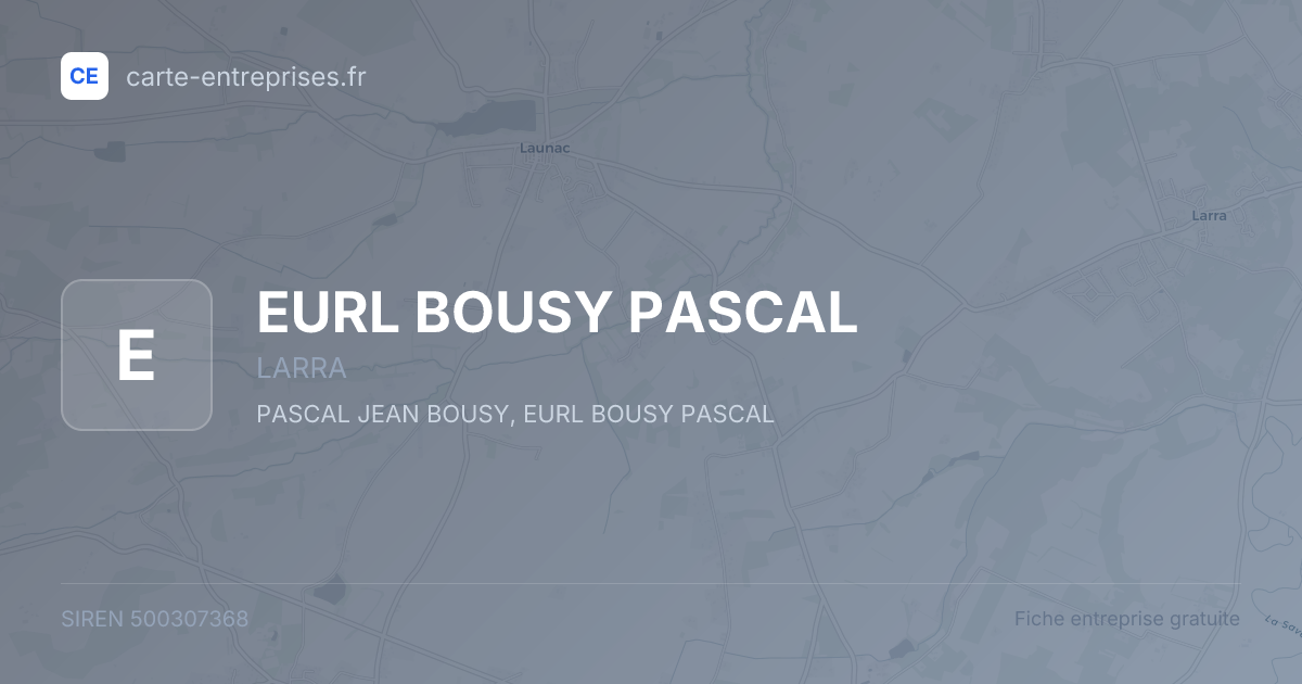 EURL BOUSY PASCAL — 500307368 — fiche entreprise
